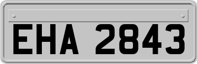 EHA2843