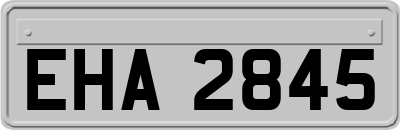 EHA2845