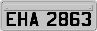 EHA2863