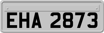 EHA2873