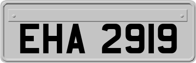 EHA2919