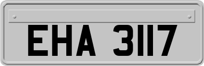 EHA3117