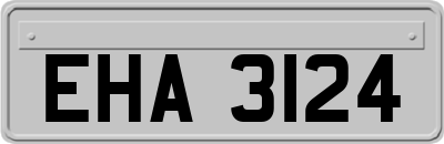 EHA3124