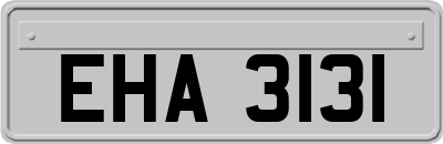 EHA3131