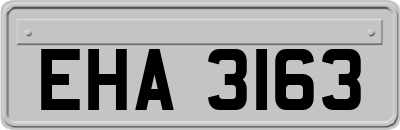 EHA3163