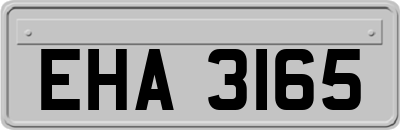 EHA3165