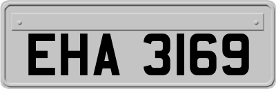 EHA3169