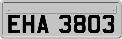 EHA3803