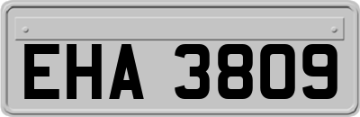 EHA3809
