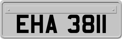EHA3811