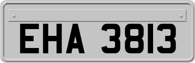 EHA3813