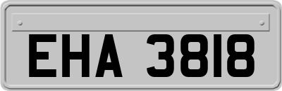 EHA3818