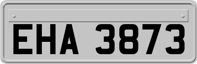 EHA3873