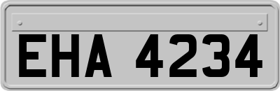 EHA4234