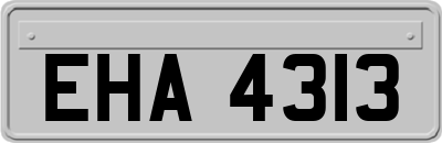 EHA4313