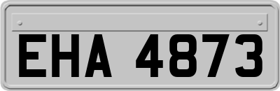 EHA4873