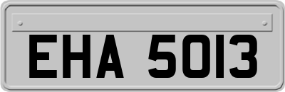 EHA5013