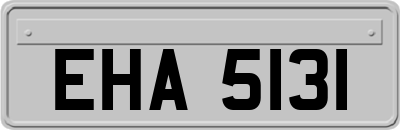 EHA5131