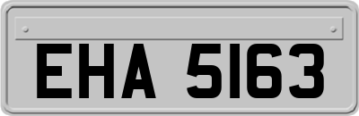 EHA5163