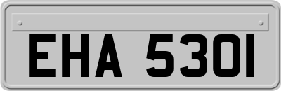EHA5301