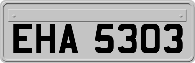 EHA5303