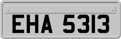 EHA5313