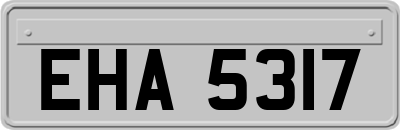 EHA5317