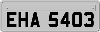 EHA5403