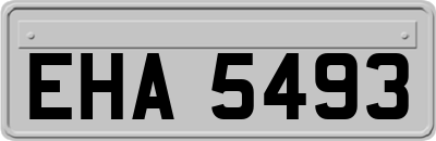 EHA5493