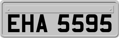 EHA5595