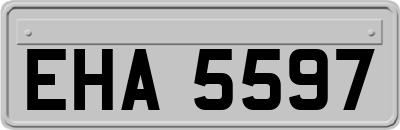 EHA5597