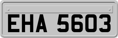 EHA5603