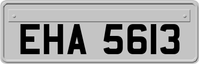 EHA5613