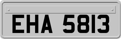 EHA5813