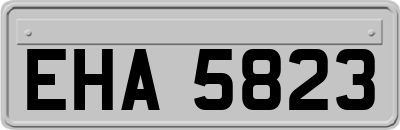 EHA5823