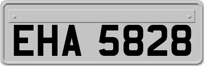 EHA5828