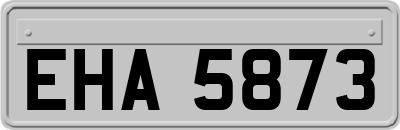 EHA5873