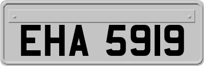 EHA5919
