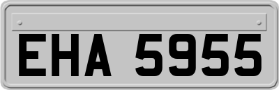 EHA5955