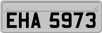 EHA5973