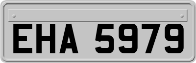 EHA5979
