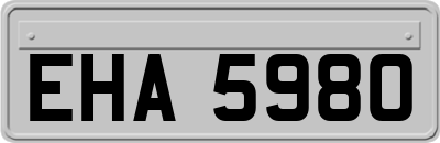 EHA5980