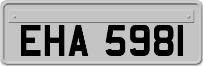 EHA5981