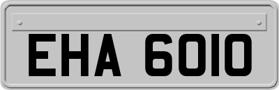 EHA6010