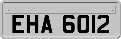 EHA6012