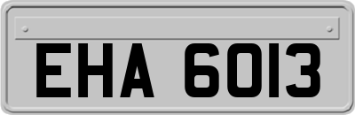 EHA6013