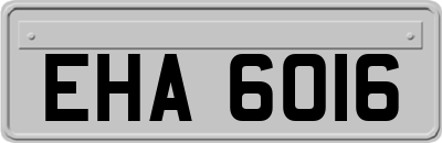 EHA6016