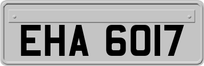 EHA6017