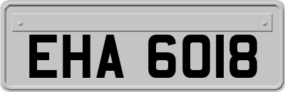 EHA6018