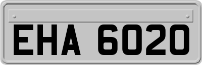EHA6020